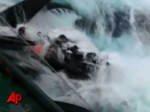 Boats Collide in Anti-whaling Clash in Antarctic