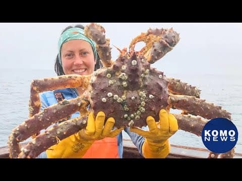 The Alaska snow crab collapse