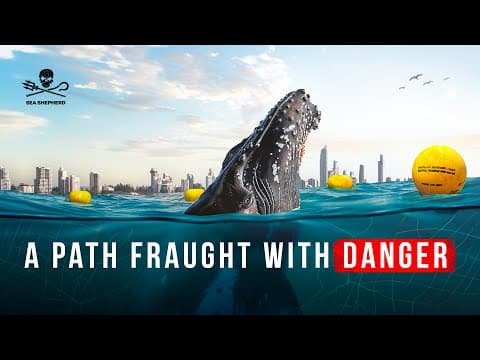 A path fraught with danger