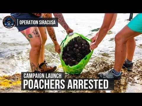 Sea Shepherd Launches Operation Siracusa 2018: Busting Poachers