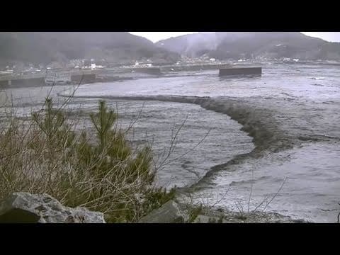Sea Shepherd's Cove Guardians witness the tsunami in Otsuchi, Japan on March 11, 2011