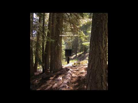 Moby - Forever (Armageddon Turk Remix) | Official Audio