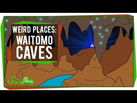 The Waitomo caves