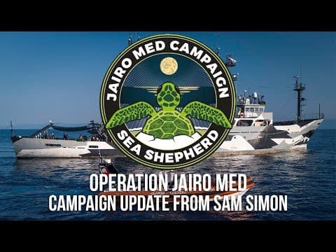 Operation Jairo Med: Campaign Update from the Sam Simon