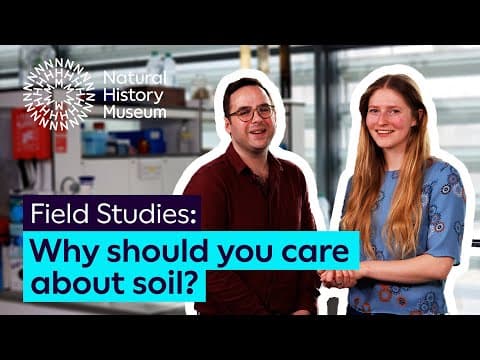 What Is Soil and Why Does It Matter?