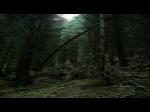 Derango - Deranged