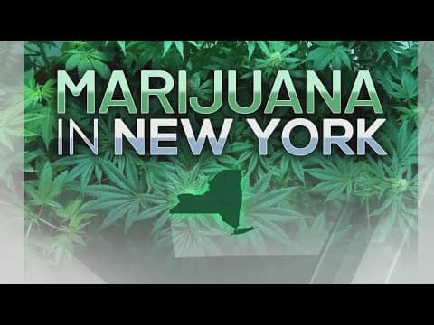 New York cannabis retail sales pass one billion dollars