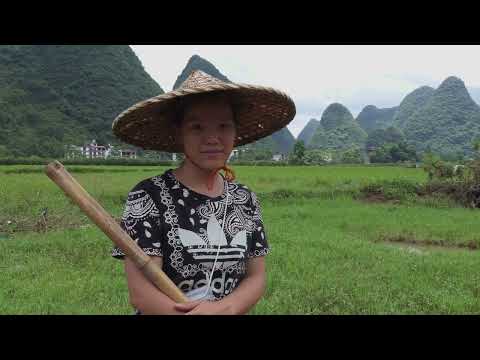 The 1876-79 Northern Chinese famine