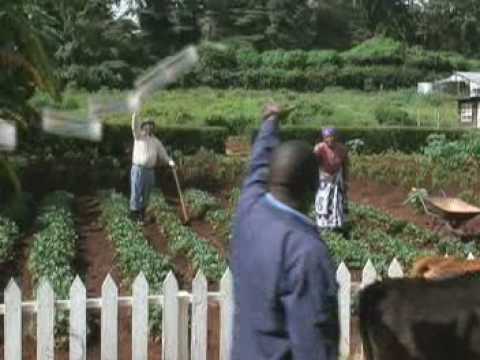 M-Pesa "Send Money Home"
