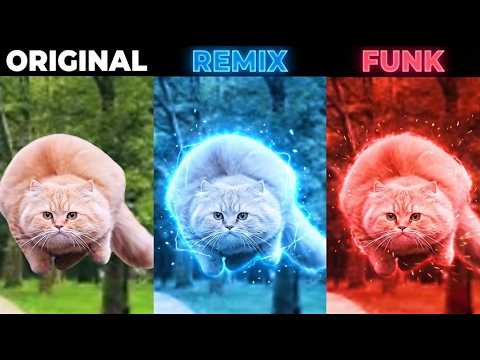 Spinning Cat Original vs Remix vs Funk / Flying Cat Meme