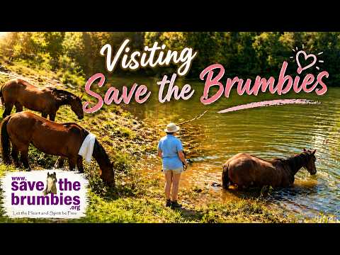 Visiting 🐴 Save The Brumbies 🐴 September 2011