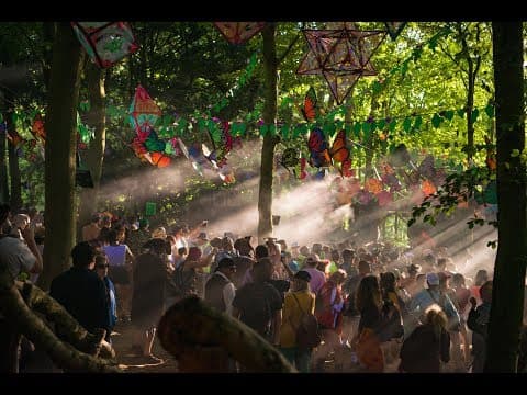 Boomtown — Psychedelic Gatherings