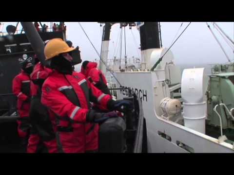 How to Disrupt the Whaling Industry by Go Green Expo