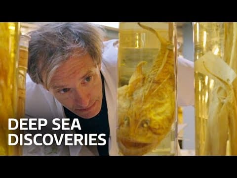Challenger’s legacy: discoveries from the deep