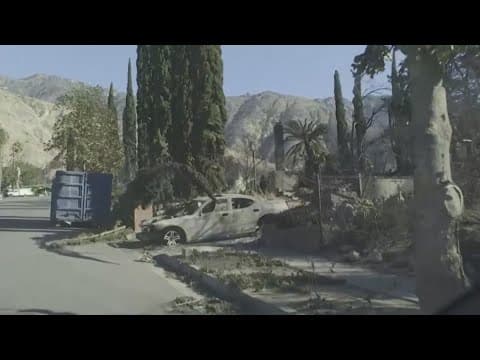 The 2025 Los Angeles fires