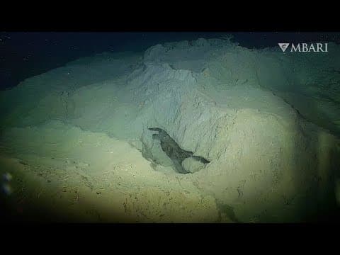 New MBARI research reveals the dynamic processes that sculpt the Arctic seafloor