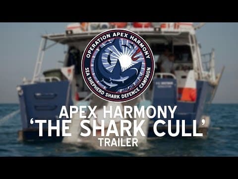 Operation Apex Harmony: Sea Shepherd's Operation Apex Harmony The Shark Cull Trailer