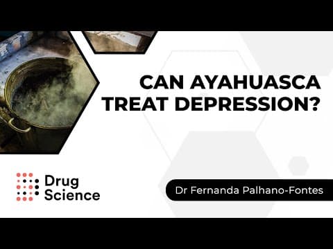 Can Ayahuasca Treat Depression? - Dr Palhano-Fontes | Drug Science