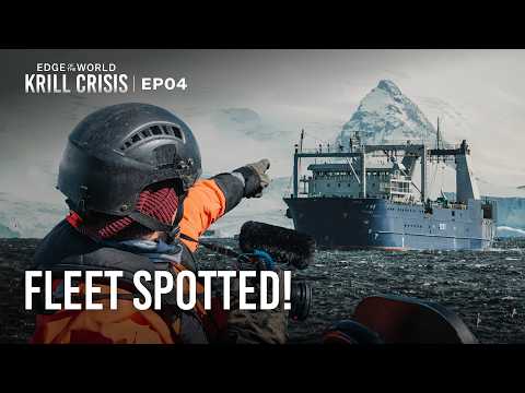 We Reached the End of the World to Find Them | Edge of the World: Krill Crisis | EP4