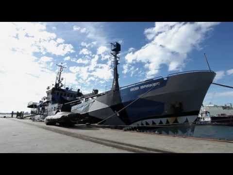 Sea Shepherd Southern Operations Base