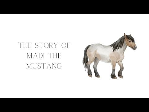 The Story of Madi the Mustang