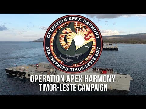 Operation Apex Harmony - Timor Leste Campaign