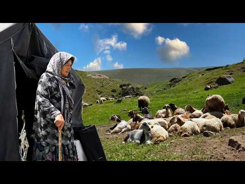 Magical Nomad Life in Iran's Sabalan Mountains | Cooking, Sheep Milking & Village Stories in 4K