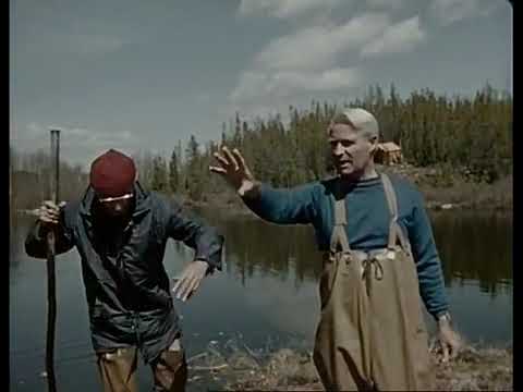 E30 Beavers of the North Country - The Undersea World Of Jacques Cousteau - 6 January 1975
