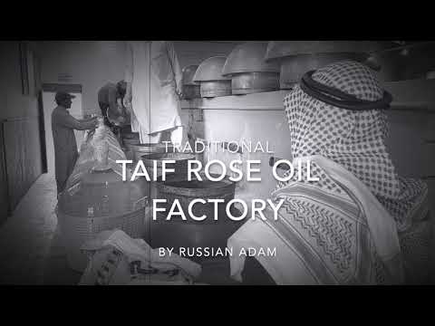 Discovering Traditional Taif Rose Oil Factory in Saudi Arabia by Russian Adam