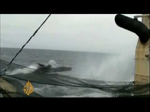 Activists clash with Japan whalers - 6 Jan 10