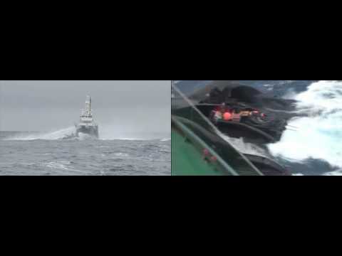 The Ady Gil sinks after collision