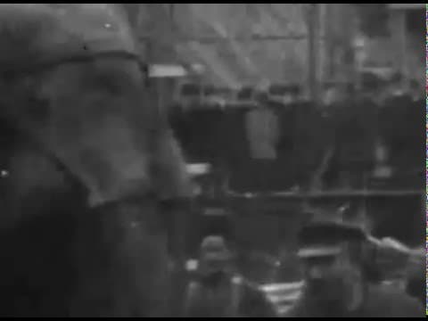 EdisonElectrocutesElephant