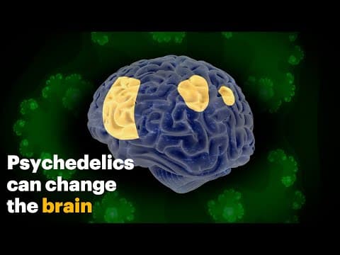 How Psychedelics Change the Brain | NOVA PBS