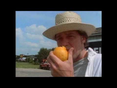 Jayhawks — Settled Down Like Rain
