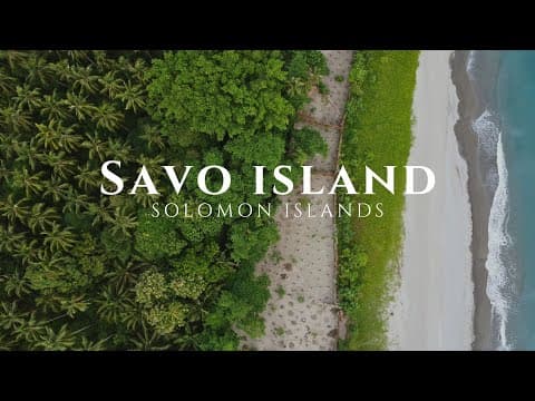 Megapodes - Savo Island - Solomon Islands