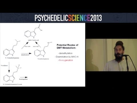 Ayahuasca: Characterization and Metabolism in Humans | MAPS