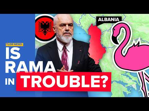 TLDR: the Flamingo Revolution explained