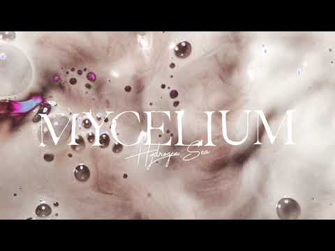 Hydrogen Sea - Mycelium