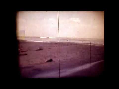 The 1979 Tumaco tsunami