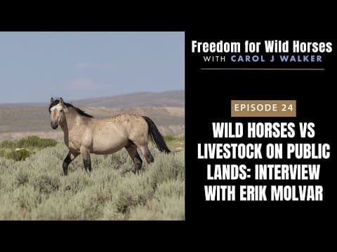 Wild Horses vs Livestock on Public Lands: Interview with Erik Molvar