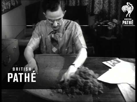 Carpet Portrait (1954)