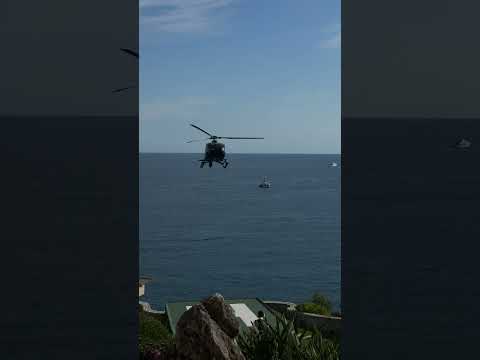 Larp Monaco