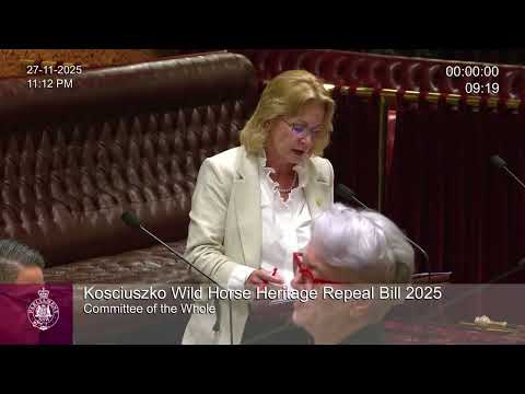 "My proposed amendment isn't complicated" - My contribution to debate on the Brumby Repeal Bill