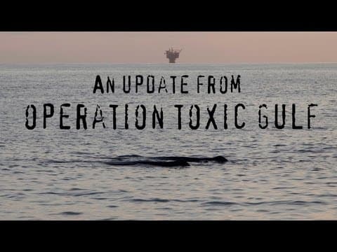 An update from Operation Toxic Gulf