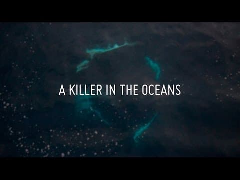 A Killer In The Oceans
