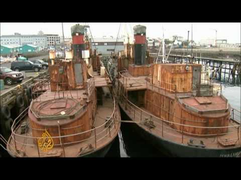 War on whaling