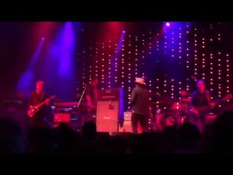Wilco - Camera (Cactus Festival 2016)