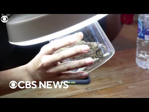 CBS: Thailand legalises growing and consuming marijuana