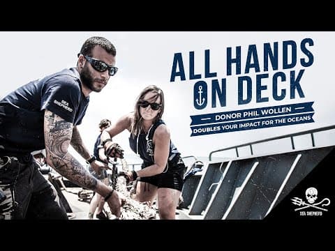 All Hands on Deck! Let's Get Sea Shepherd Back to Sea