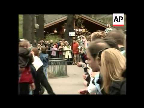 The craze for Knut continues -- Germans still flocking to zoo to see polar bear cub